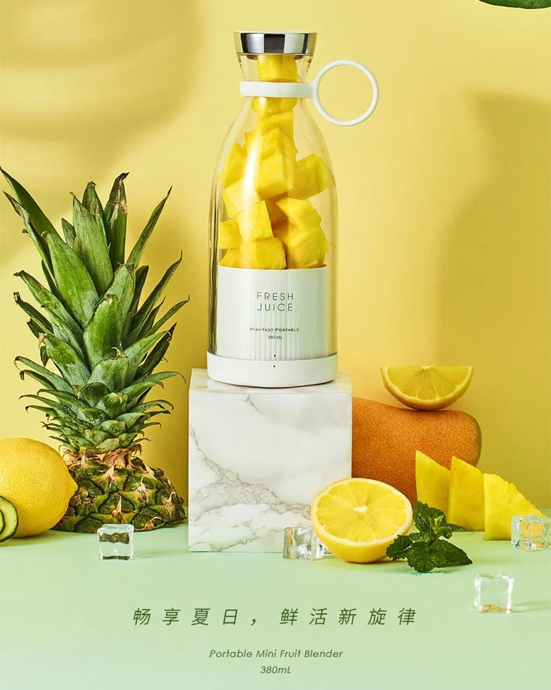 Mini Portable Juicer Blender USB Rechargeable 380ml